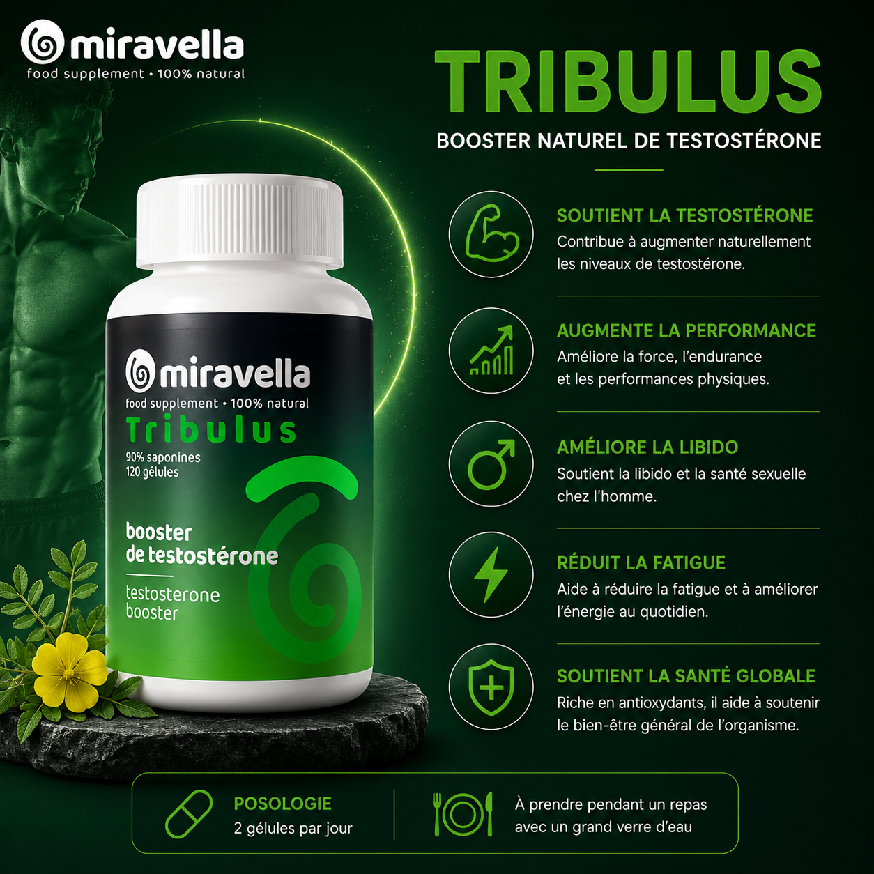 Tribulus Terrestris — 90% Saponines