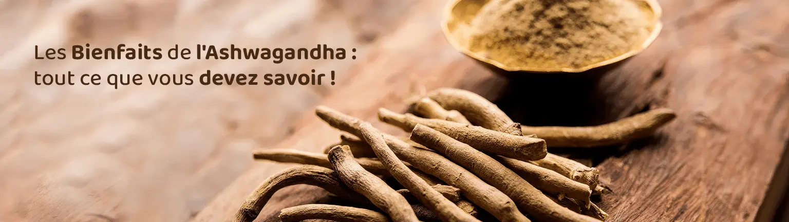 Ashwagandha Bienfaits