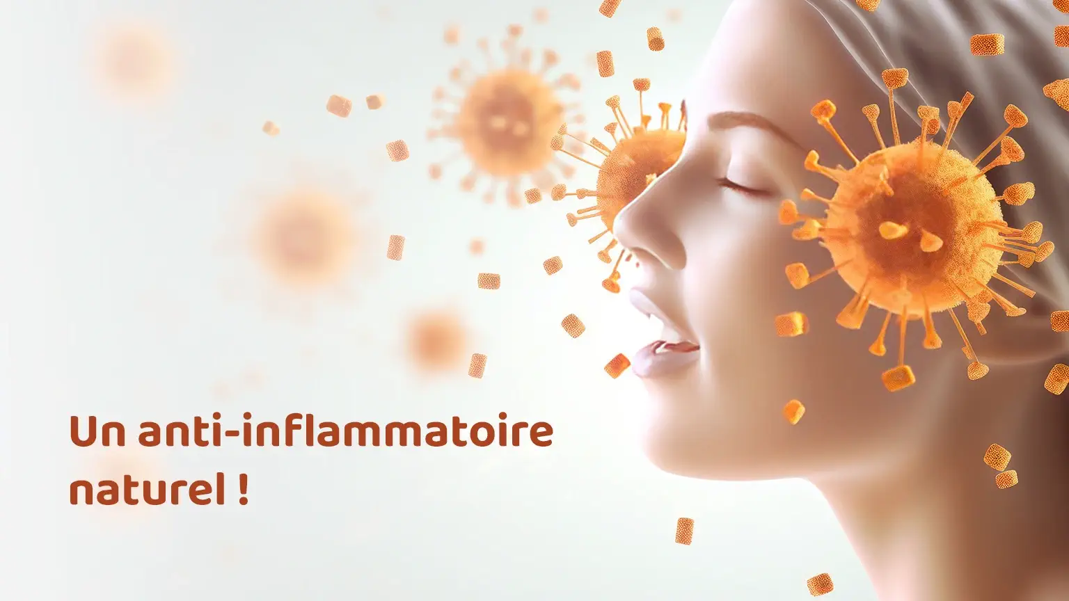 La curcumine anti-inflammatoire